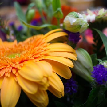 Crystal Florist - Flowers for my mother - Florists Near Me - Mountain View, California Crystal Florist - Flowers for my mother - Florists Near Me - Mountain View, California