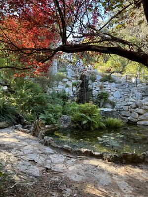 Zilker Botanical Garden by null