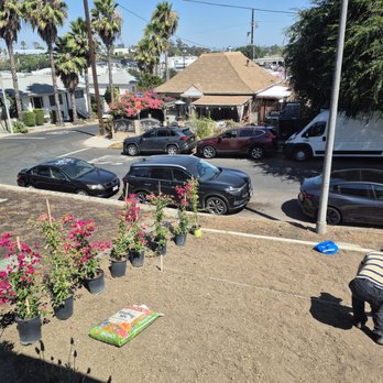 Paradise Landscaping and Gardening - Soil and irrigation done, planting begins - Landscaping Near Me Paradise Landscaping and Gardening - Soil and irrigation done, planting begins - Landscaping Near Me