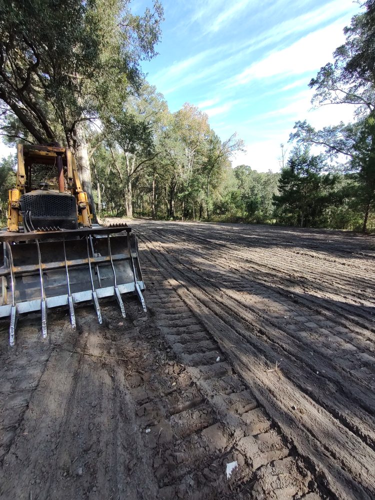 FLOWERS LAND CLEARING Updated September 2024 18 Photos Live Oak
