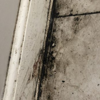 Premier Management - The room floor, more mold - Property Management Near Me - El Cajon, California Premier Management - The room floor, more mold - Property Management Near Me - El Cajon, California