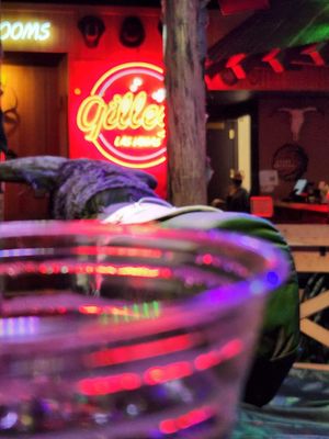 Gilley's Saloon, Dance Hall & Bar-B-Que by null Gilley's Saloon, Dance Hall & Bar-B-Que by null