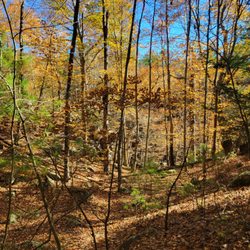 Purgatory Chasm State Reservation