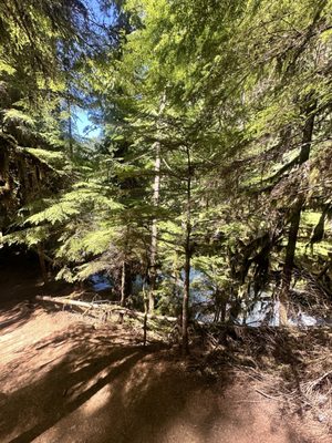 Sahalie Falls by null