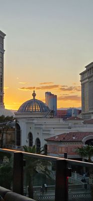 Bottled Blonde Las Vegas by null