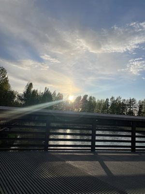 Tony Knowles Coastal Trail by null
