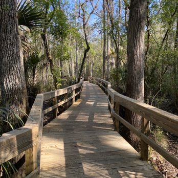 Highlands Hammock State Park - Parks Near Me - Sebring, Florida