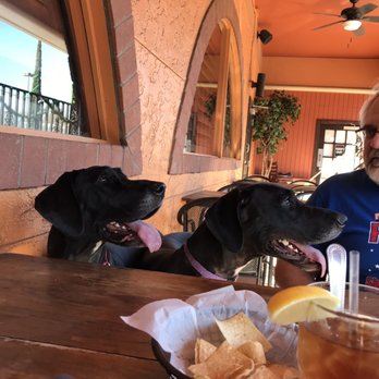 Don Ramon's Mexican Restaurant - Both puppies begging for Mexican snack - Mexican Near Me - Houston, Texas