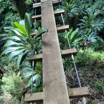 Botanical World Adventures - Beautiful minimal bridge design - Botanical Gardens Near Me - Hakalau, Hawaii