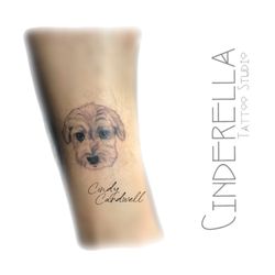 Cinderella Tattoo Studio