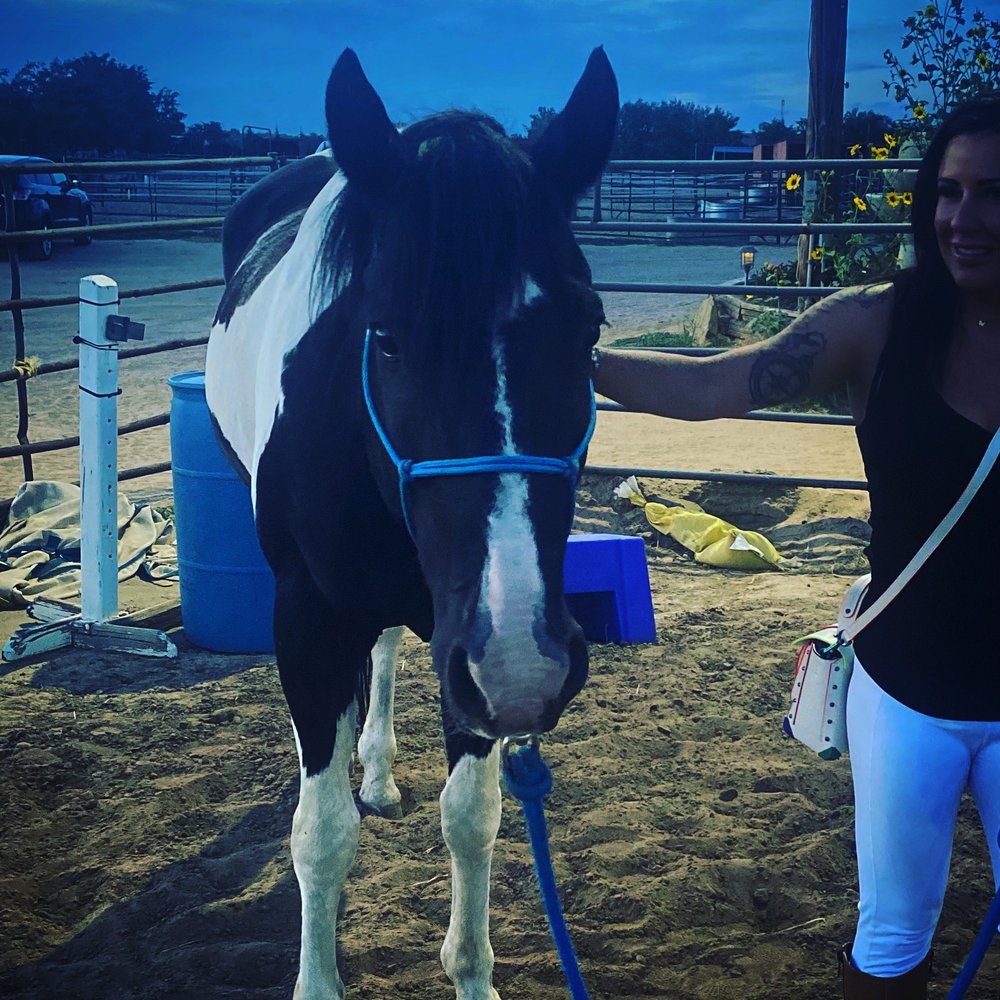 Promenade Horsemanship Academy - Horse Boarding Near Me - Brighton, Colorado