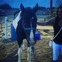 Photo of Promenade Horsemanship Academy