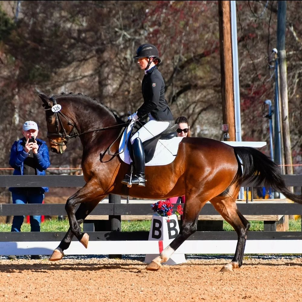 Mystique Dressage Logo