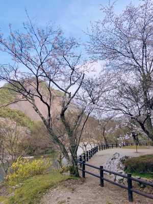 一枚岩鹿鳴館 16 Photos Comfort Food 古座川町相瀬290 2 東牟婁郡 和歌山県 Japan Restaurant Reviews Phone Number