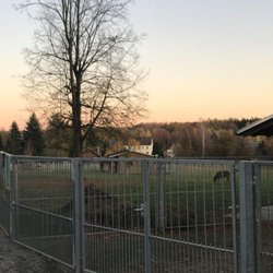 Tiergehehge Waldhaus