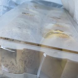 Still hot they steamed up the plastic container!