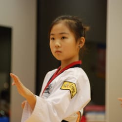 World Champion Taekwondo