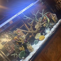 Ocean Images - Nice and clean, thanks to Justin