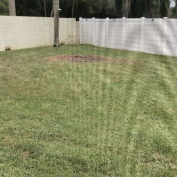 Greater Bay Area Tree & Arborist Services - Tree Services Near Me - Seminole, Florida Greater Bay Area Tree & Arborist Services - Tree Services Near Me - Seminole, Florida