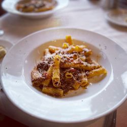 Mural Room - Elk bolognese - was delicious!
