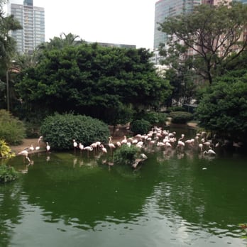 九龍公園 - Parks Near Me - Hong Kong, HK