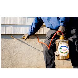 Nature Plus Pest Control - Pest control