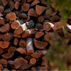 Woodhill Firewood - Woodhill Firewood in Irvine
