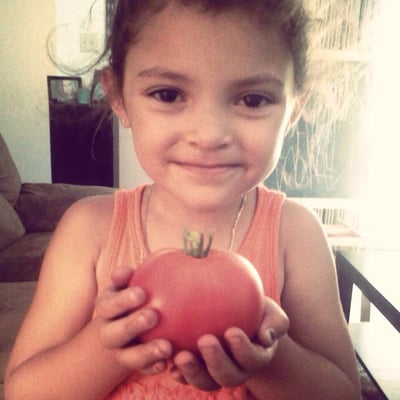 Chico Certified Farmers Market by null