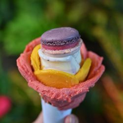 Amorino Gelato