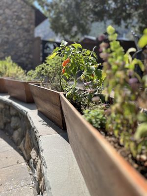 The Pink House by null