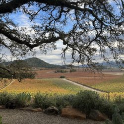 Gargiulo Vineyards