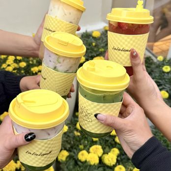 La La Land - Matcha Latte, Coffee Latte, Iced Tea - Coffee & Tea Near Me - Los Angeles, California