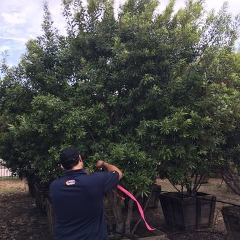 Moon Valley Nurseries - Landscaping Near Me - Spring, Texas