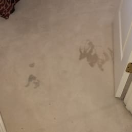 Tough stains before carper cleaning