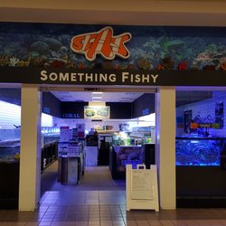 Something Fishy - Located in the Via Port Mall in Rotterdam