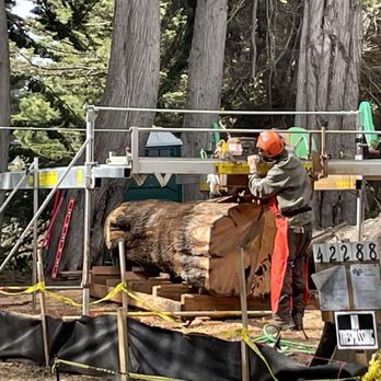 North Coast Milling - Tree Services Near Me - Albion, California North Coast Milling - Tree Services Near Me - Albion, California