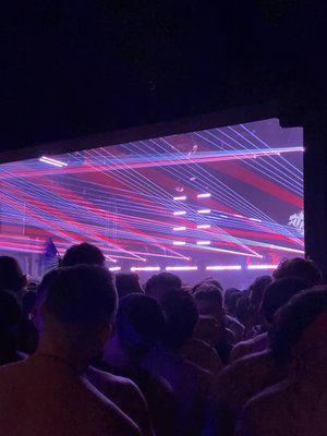 The Vanguard by null