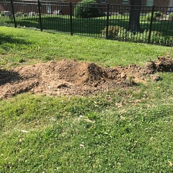 STL Stump Removal - Tree Services Near Me - St. Louis, Missouri