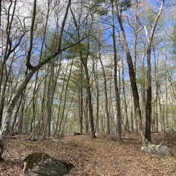 George Washington Memorial Camping Area - The Angell Loop Trail on the way toward the lake and the remote campsites.