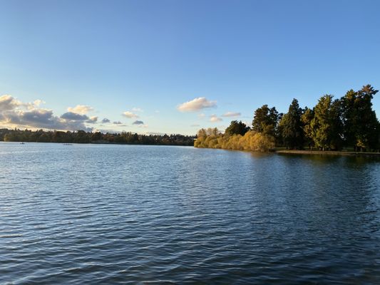 Green Lake Park by null