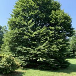 Merion Botanical Park