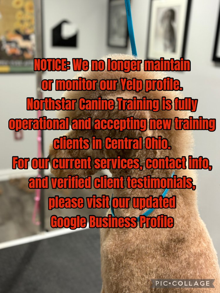 Northstar Canine Training - pet boarding facility in Columbus, OH