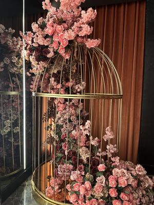 Koya by null Koya by null