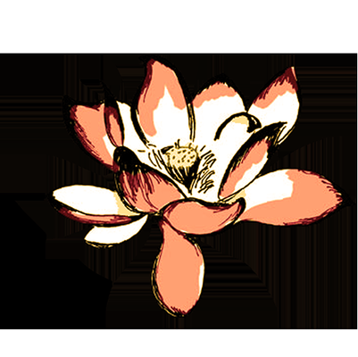 Leaves of Change Counseling