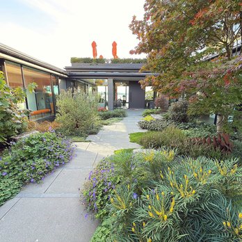 Green Leaf Landscaping & Construction - Plant Install & Maintenance 2-Years Later in Windermere - Landscaping Near Me - Shoreline, Washington Green Leaf Landscaping & Construction - Plant Install & Maintenance 2-Years Later in Windermere - Landscaping Near Me - Shoreline, Washington
