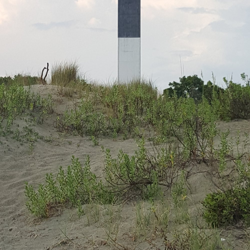 Sullivan's Island Lighthouse - Landmarks & Historical Buildings Near Me - Sullivan's Island, South Carolina Sullivan's Island Lighthouse - Landmarks & Historical Buildings Near Me - Sullivan's Island, South Carolina