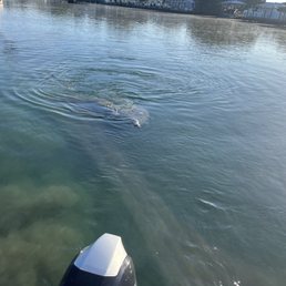 Had to include our friend on the way back