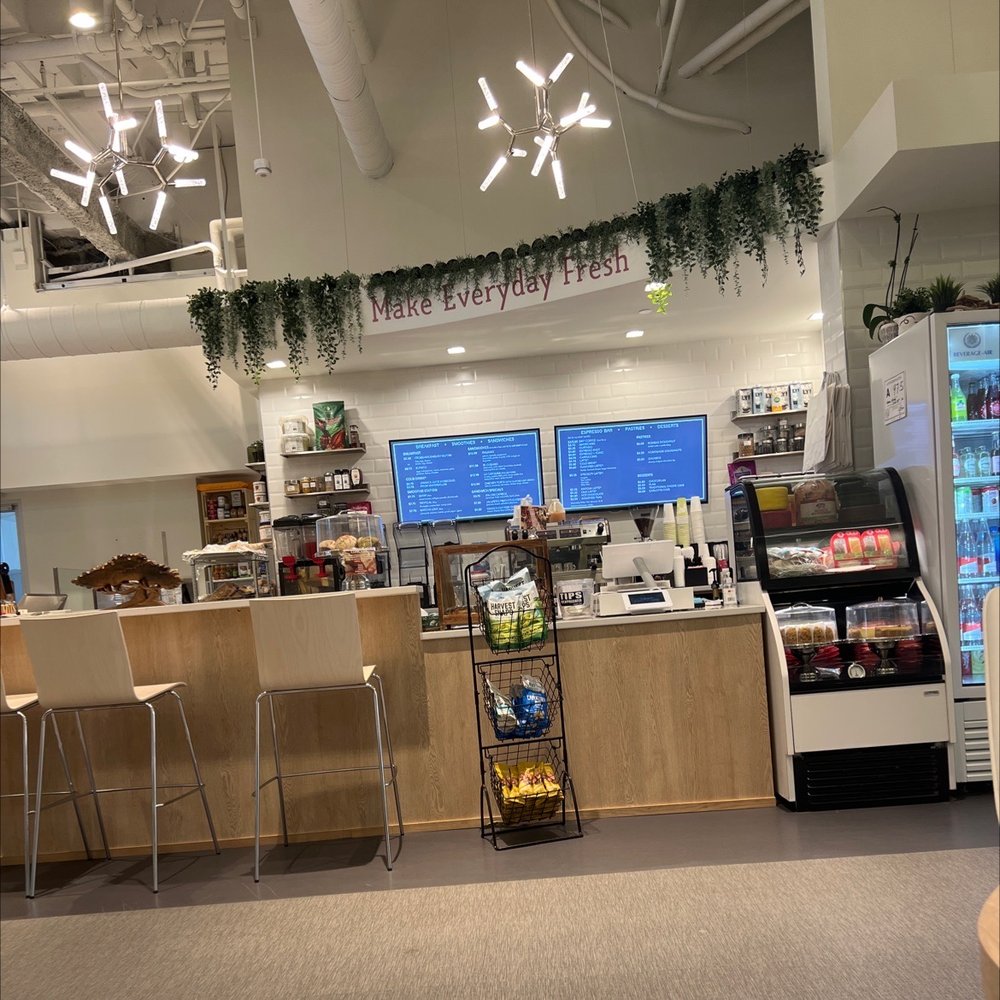 Arbol Eatery - Counter - Cafes Near Me - Charlotte, North Carolina Arbol Eatery - Counter - Cafes Near Me - Charlotte, North Carolina