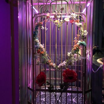Darling Aviary - Bars Near Me - Sacramento, California