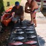Photo of Just Fish PCB